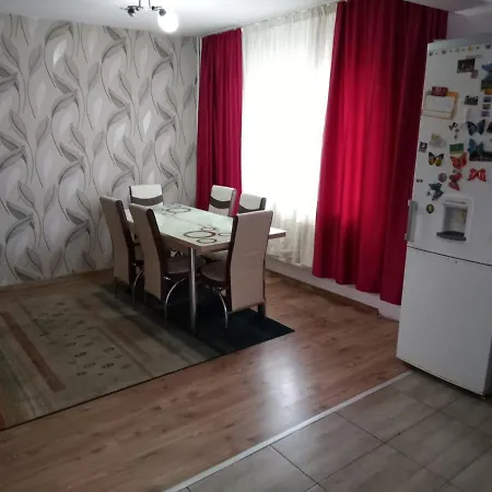 Villa Nicu *