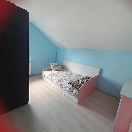 Villa Nicu Вилла *