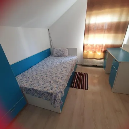 Villa Nicu Вилла