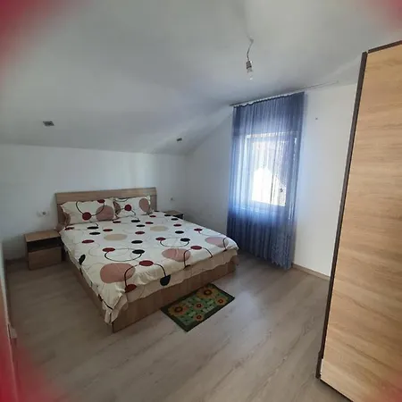 Villa Nicu Вилла *